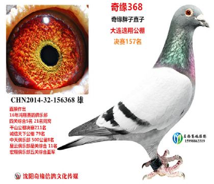 2014-32-156368 ��-�N