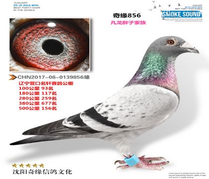 2017-06-0139856��