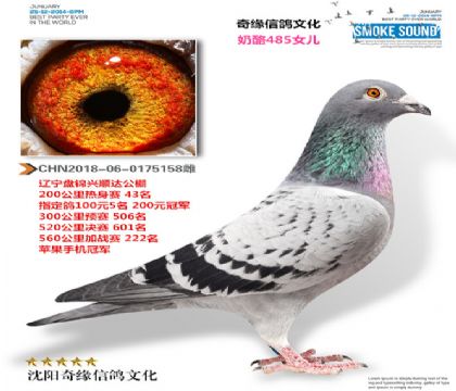 2018-06-0175158��