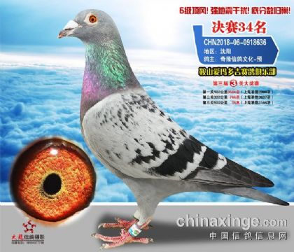 2018-06-0918636����Ƭ