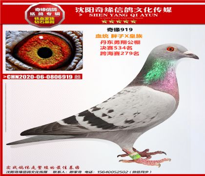 2020-06-0806919 ��