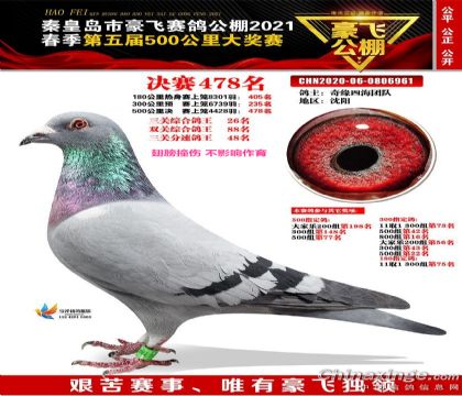 2020-06-0806961��