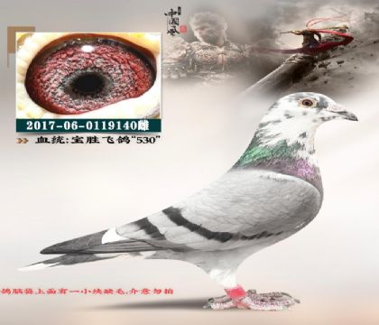 ١�����������w��