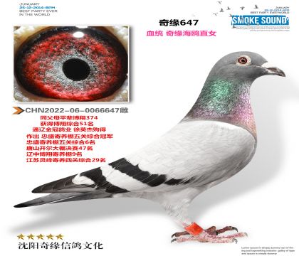 2022-06-0066647��