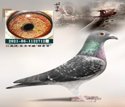 �Ź�(li��n)ꠡ��O����