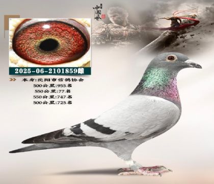 ��ٹ��܊��Ů��