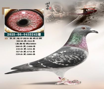 �|������X����̖