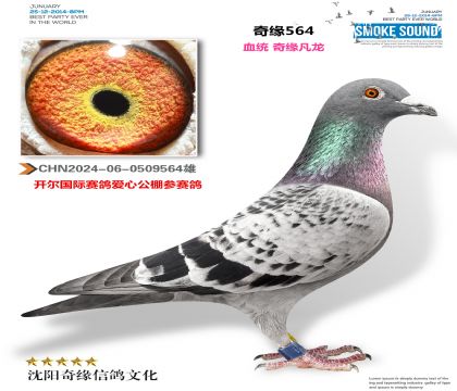 2024-06-0509564��