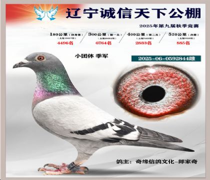 2025-06-0592844��