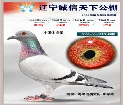 2025-06-0592849��