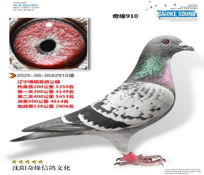 2025-06-0592910��