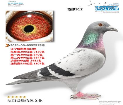 2025-06-0592912��