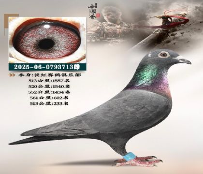 ���l(w��i)X�|������