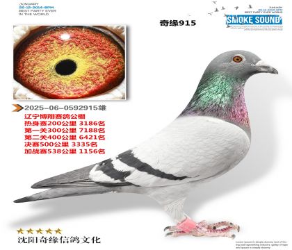 2025-06-0592915��