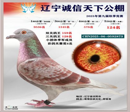 2025-06-0593873��