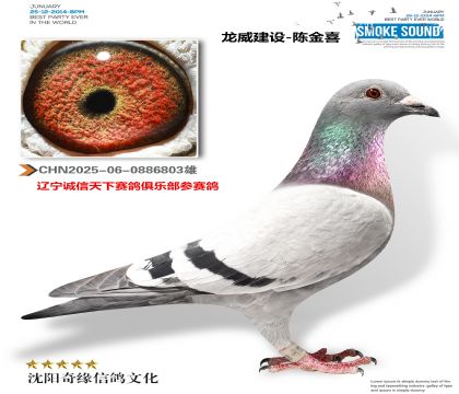 2025-06-0886803�� (1)