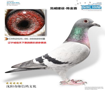 2025-06-0886899�� (2)