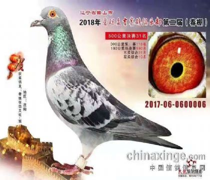 CHN2017-06-0600006Ѫ�y(t��ng)��