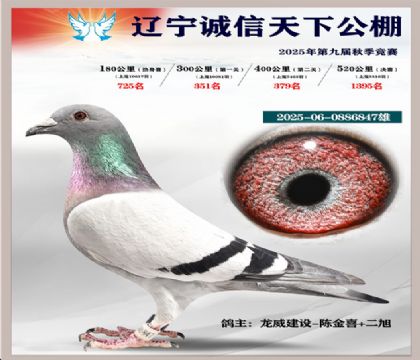 2025-06-0886847��