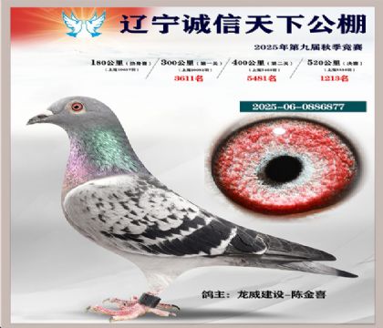 2025-06-0886877��