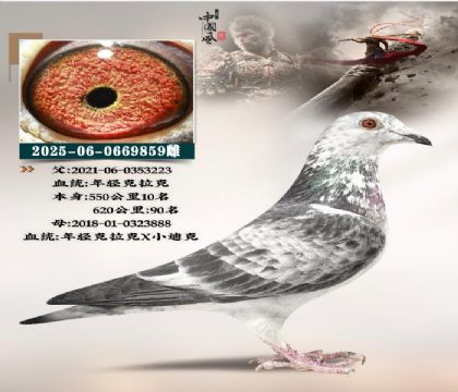 �L�����I(y��)�������p������