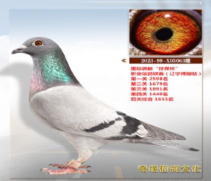 CHN2023-99-X05063��