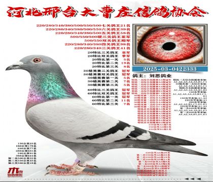 60�ر�������܊,20�ر�������܊