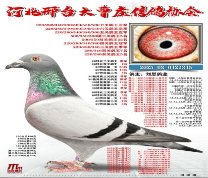 60�ر�������܊,20�ر�������܊