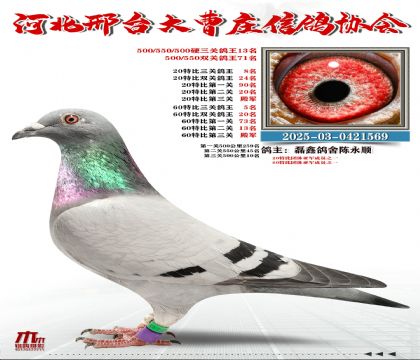 60�ر�����5��,20�ر�����8��