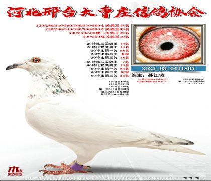 60�ر�����7��,20�ر�����13��