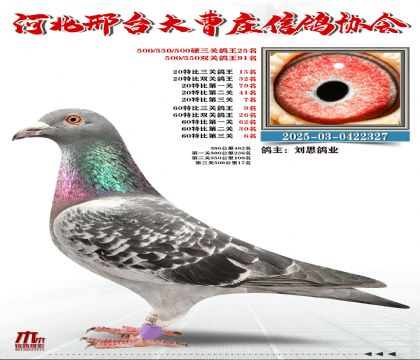 60�ر�����9��,20�ر�����15��