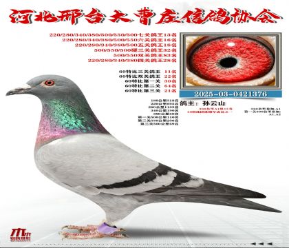 60�ر�����11��,���P(gu��n)����13��