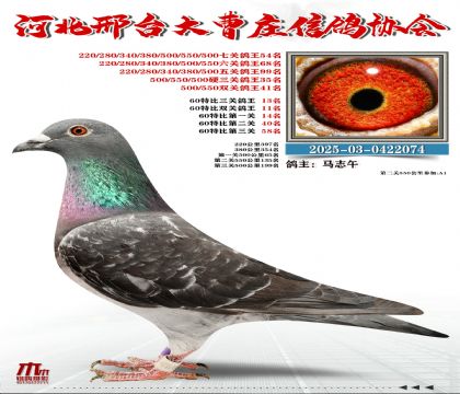 60�ر�����13��,Ӳ���P(gu��n)����35��