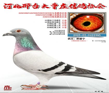 60�ر�����15��,Ӳ���P(gu��n)����40��