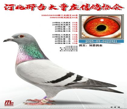 60�ر�����17��,20�ر�����25��