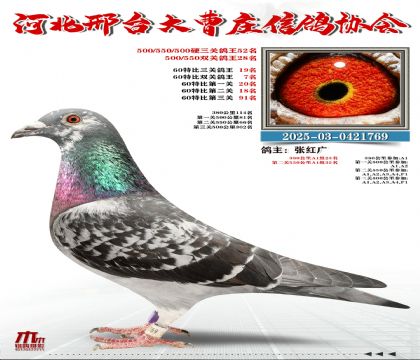 60�ر�����19��