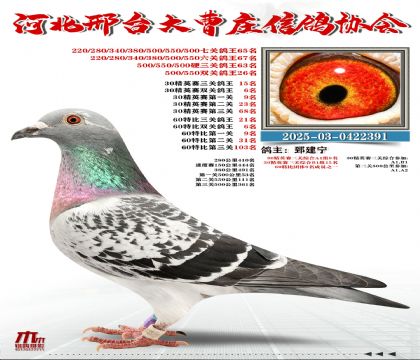 60�ر�����21��,30��Ӣ����15��