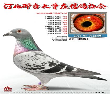 60�ر�����23��,20�ر�����34��