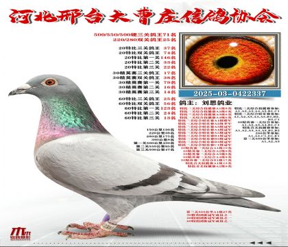 60�ر�����25��,20�ر�����37��