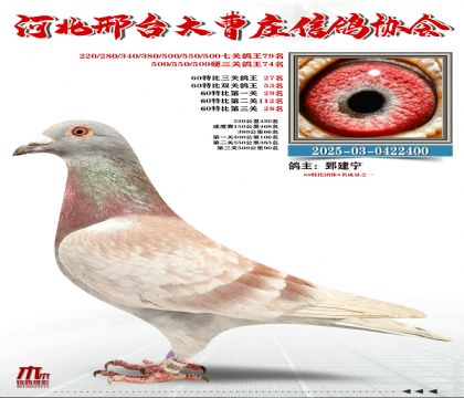 60�ر�����27��