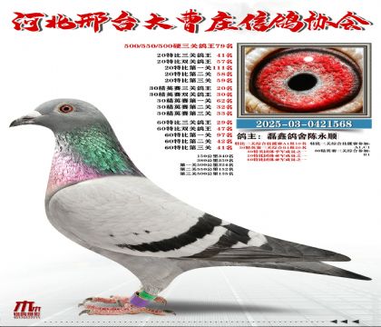 60�ر�����29��,20�ر�����41��