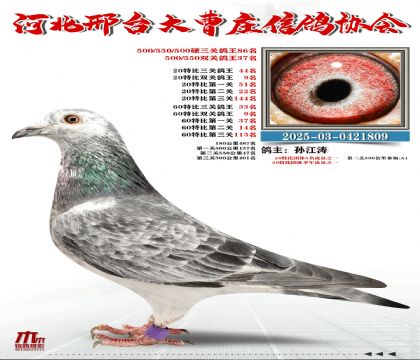 60�ر�����33��,20�ر�����44��