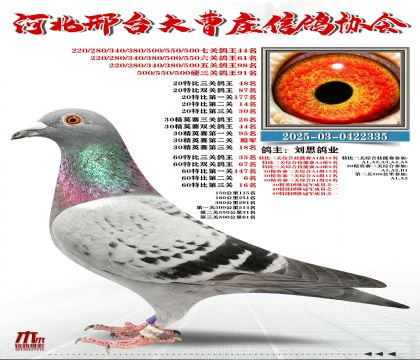 60�ر�����35��,20�ر�����48��