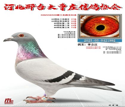 60�ر�����37��