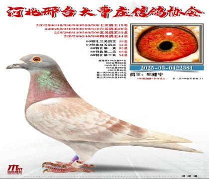 60�ر�����39��,���P(gu��n)����19��