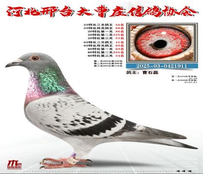 60�ر�����41��,20�ر�����56��