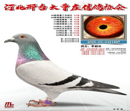 60�ر�����45��,30��Ӣ����32��