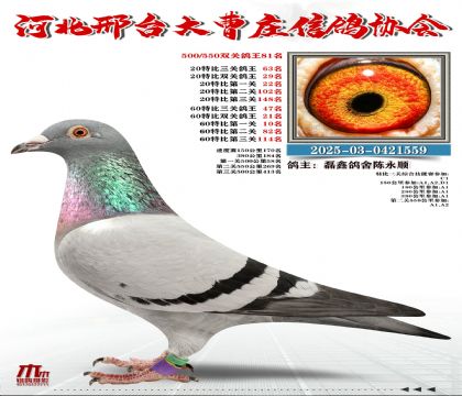 60�ر�����47��,20�ر�����63��