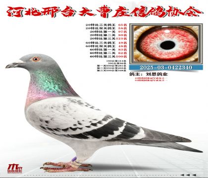 60�ر�����49��,20�ر�����65��