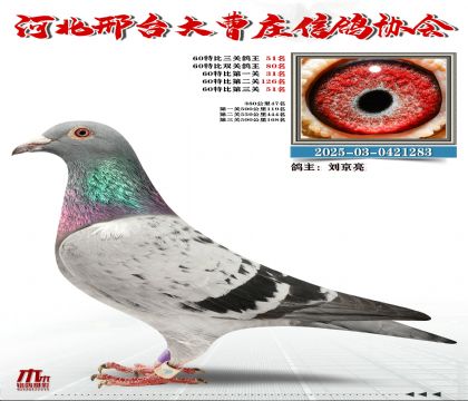 60�ر�����51��